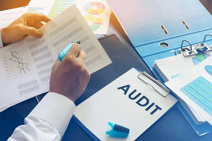Audit Year 2024